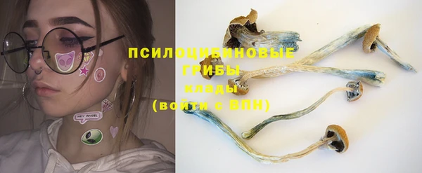 трава Михайловка