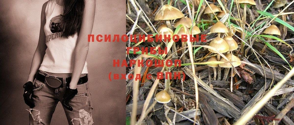 трава Михайловка