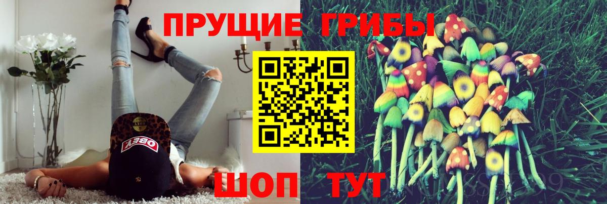 Галлюциногенные грибы мухоморы  Красноуфимск  Галлюциногенные грибы Cubensis 