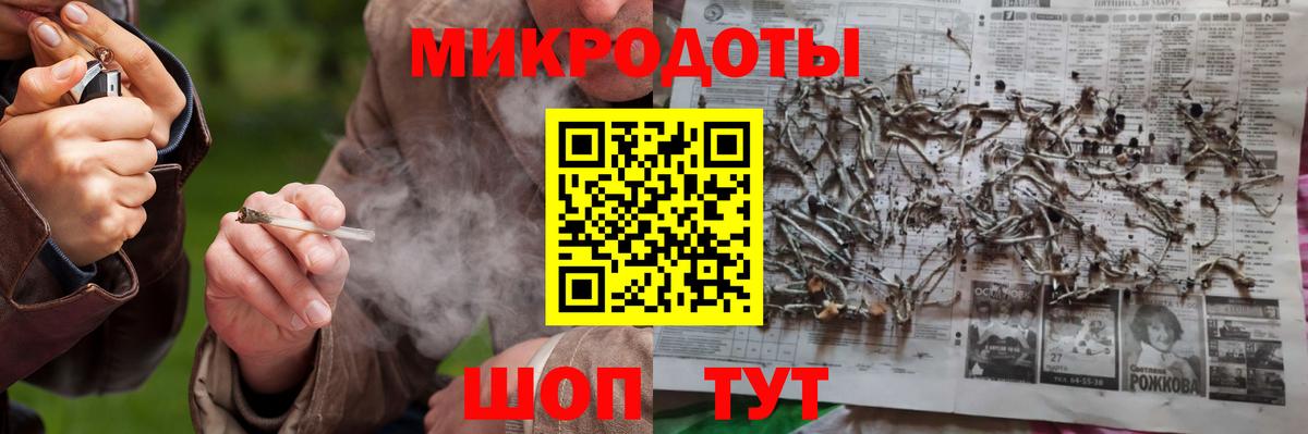 Галлюциногенные грибы Psilocybine cubensis Красноуфимск